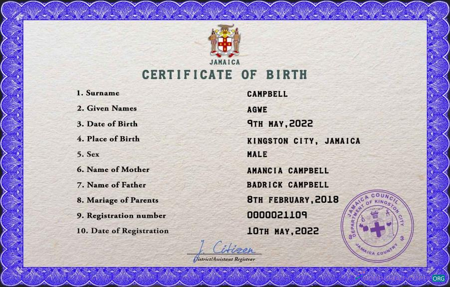 Download Jamaica vital record birth certificate PSD template Photoshop template
